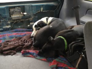 179463_3485923586636_1227780098_48468807_243782566_n