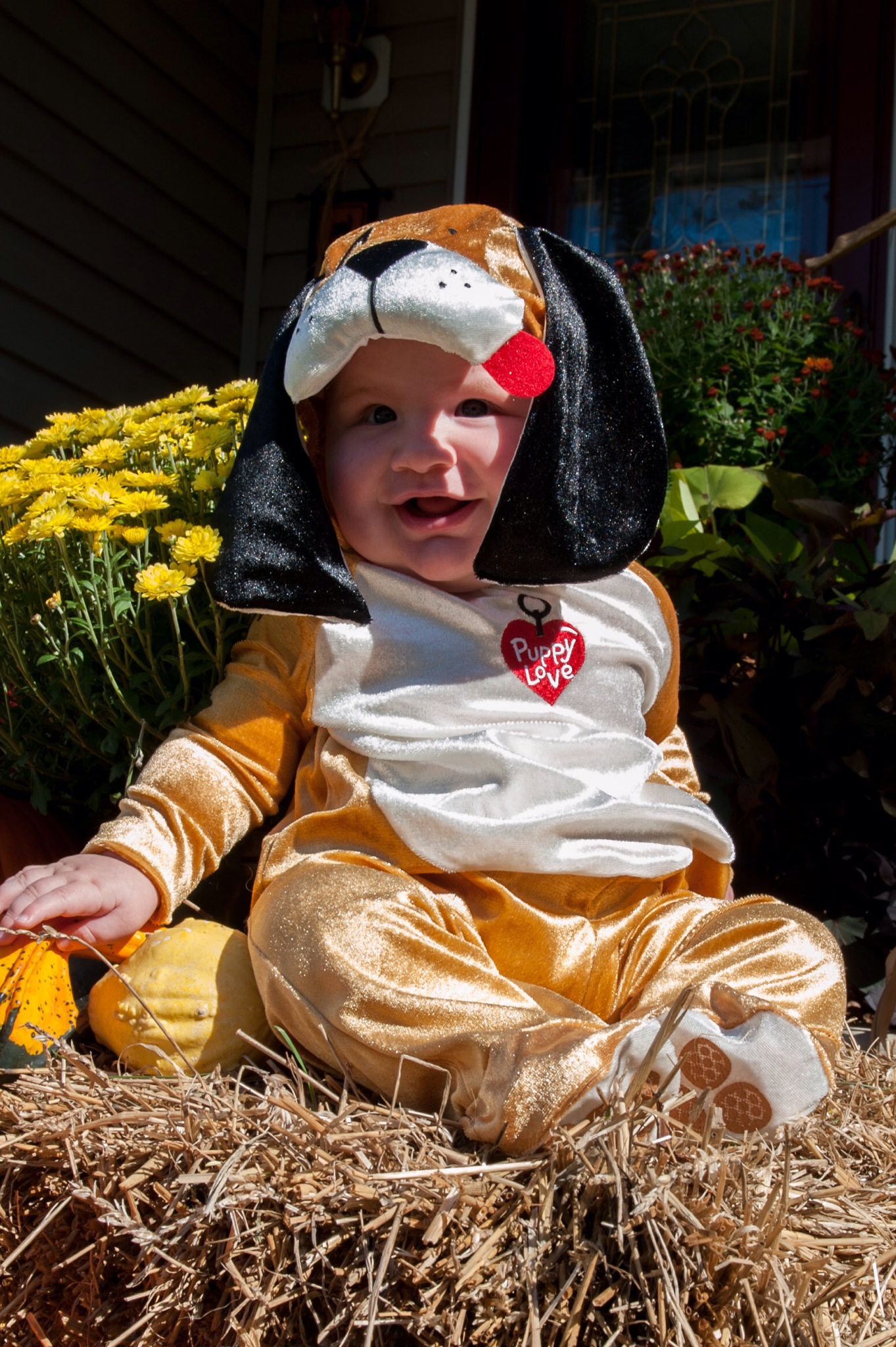 First Halloween…