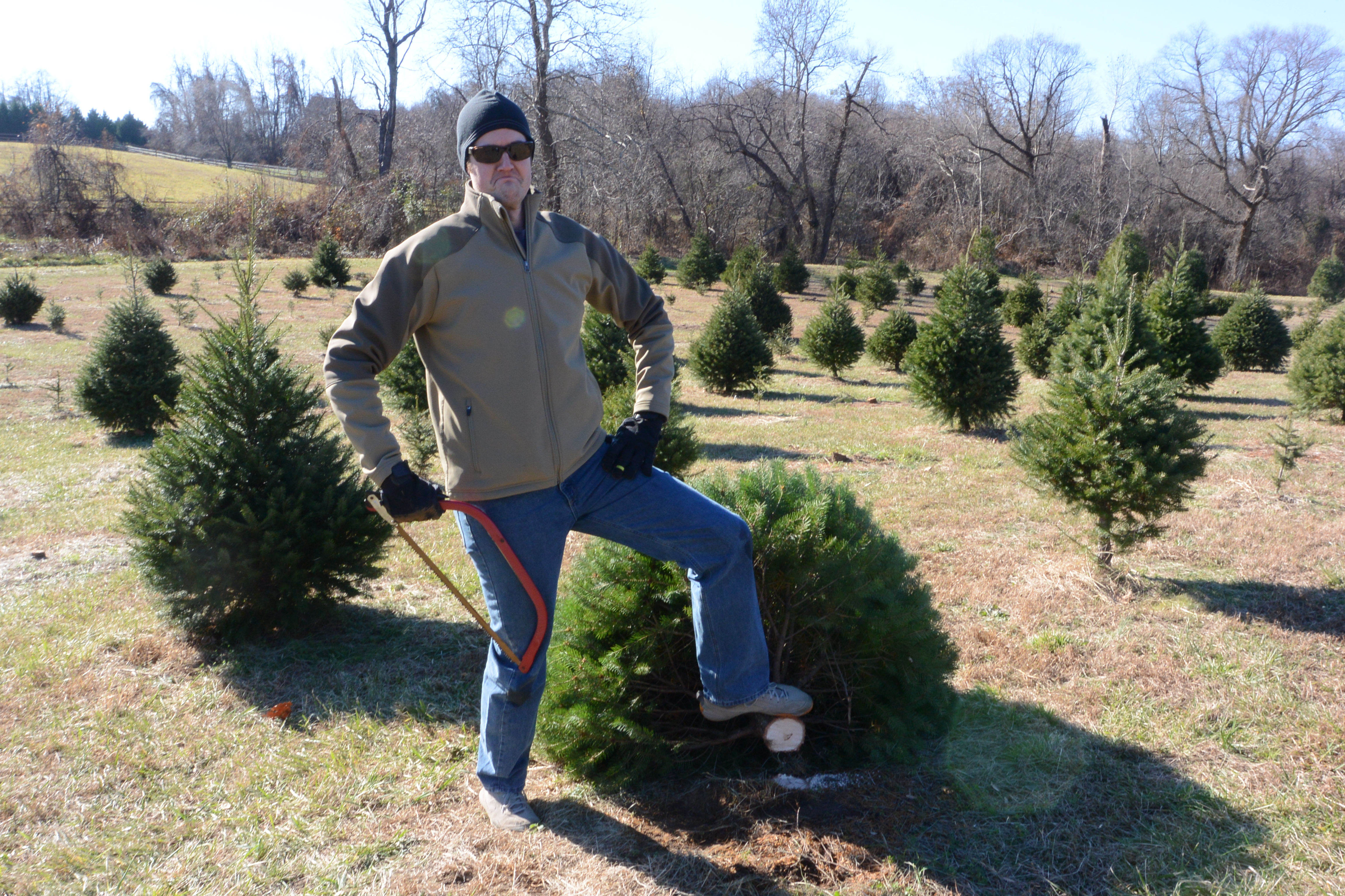 Christmas Tree … 2014