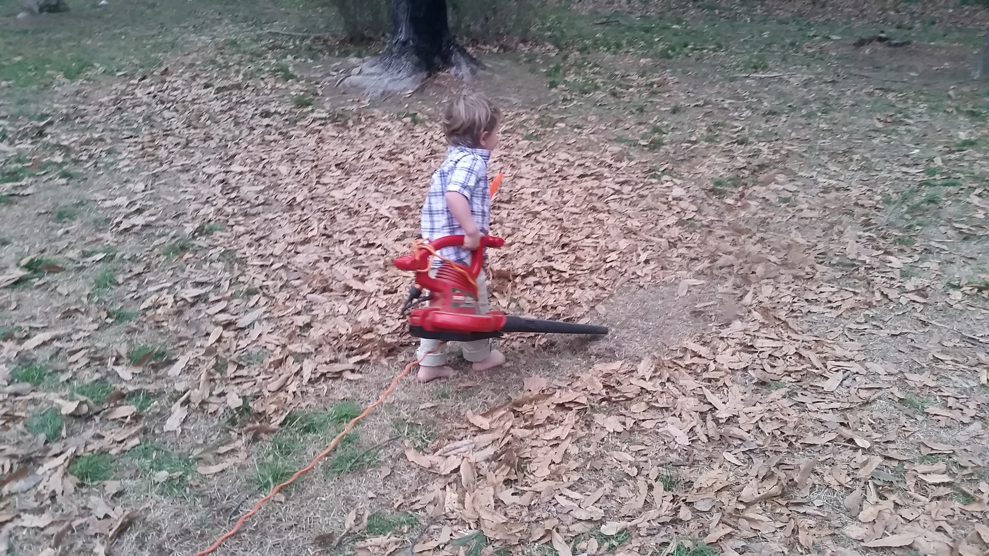 My Helper…