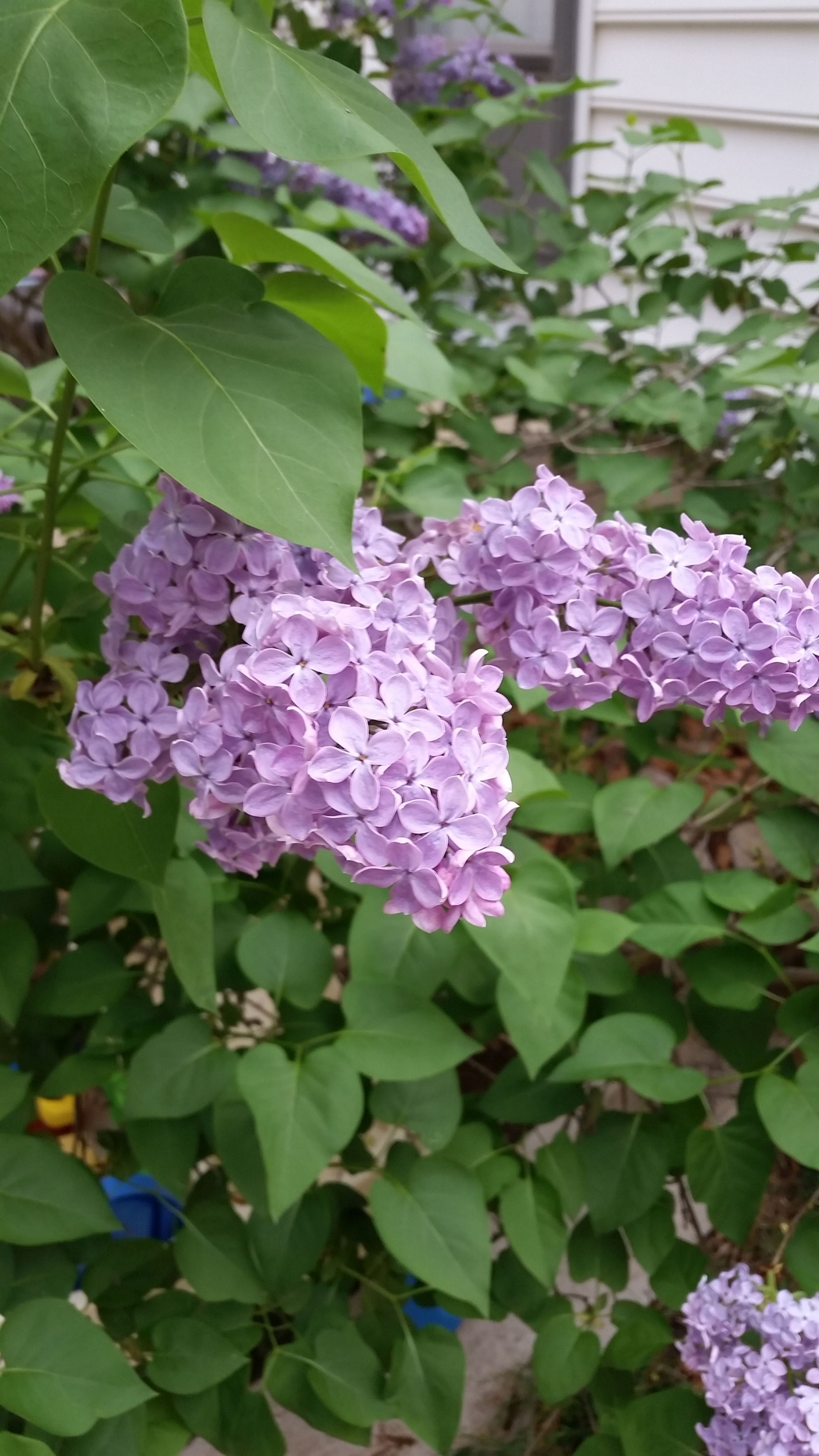 Spring… 2